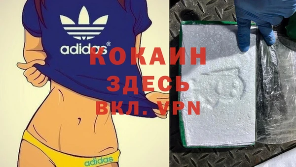 спайс Аркадак